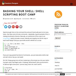 Shell Scripting Boot Camp - Freedom Penguin