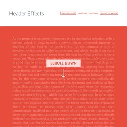 On Scroll Header Effects with CSS Transitions