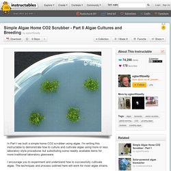 Simple Algae Home CO2 Scrubber - Part II Algae Cultures and Breeding