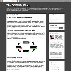 The SCRUM Blog: 5 Big Issues When Scaling Scrum