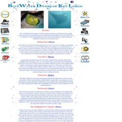 Scuba Diving and Snorkeling in Key Largo, Fl: Dive Sites