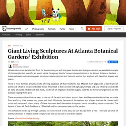 Giant Living Sculptures At Atlanta Botanical Gardens' Exhibition