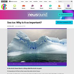Sea ice: Why is it so important? - CBBC Newsround