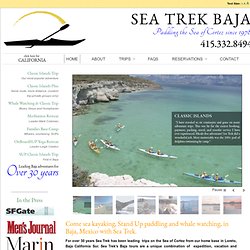 Baja Sea Kayaking and Stand Up Paddle Trips on the Sea of Cortez