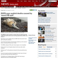RSPB says seabird deaths caused by 'worst PIB spill'