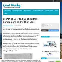 Seafaring Cats and Dogs! Faithful Companions on the High Seas – Coast Monkey