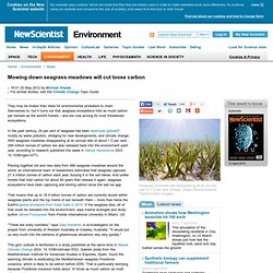 Mowing down seagrass meadows will cut loose carbon - environment - 20 May 2012