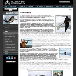 Seal Hunt Facts