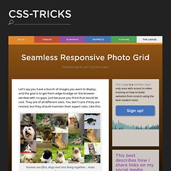 Seamless Responsive Photo Grid