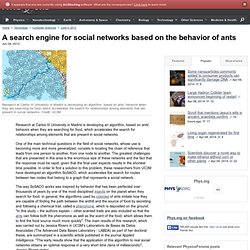 A search engine for social networks based on the behavior of ants