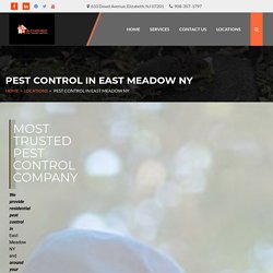 Searching for a East Meadow NY pest control service for your premises? Call us at 908-357-1797 today