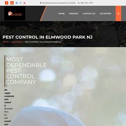 Searching for a Elmwood Park NJ pest control service for your premises? Contact us at 908-357-1797 today