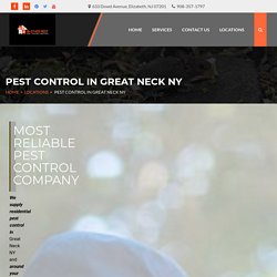 Searching for a Great Neck NY pest control service for your premises? Telephone us at 908-357-1797 today