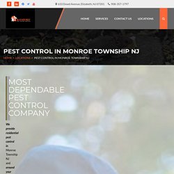 Searching for a Monroe Township NJ pest control expert for your premises? Telephone us at 908-357-1797 today