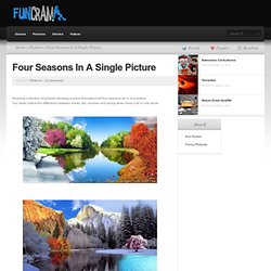 Four Seasons In A Single Picture - FunCram