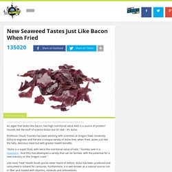 New Seaweed Tastes Just Like Bacon When Fried