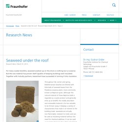 Seaweed under the roof - Research News March 2013 - Topic 2