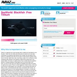 SeaWorld: Blackfish :Free Tilikum