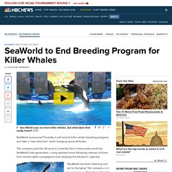 SeaWorld to End Breeding Program for Killer Whales