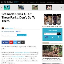 SeaWorld Owns All Of These Parks. Don't Go To Them.