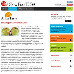 Slow Food USA: Sebastopol Gravenstein Apple