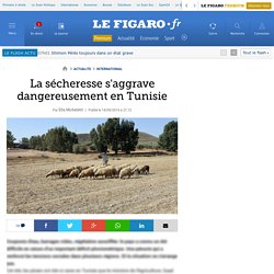 La sécheresse s'aggrave dangereusement en Tunisie