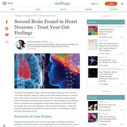 Second Brain Found in Heart Neurons - Trust Your Gut Feelings