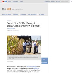 Aug 2012 Secret Side Of The Drought: Many Corn Farmers Will Benefit : The Salt