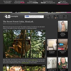 The Secret Forest Cabin, HemLoft