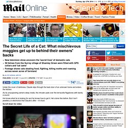 The Secret Life of a Cat: What mischievous moggies gets up to behind their owners' backs