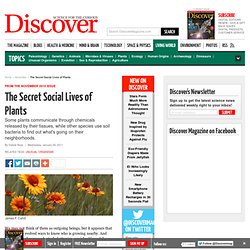 The Secret Social Lives of Plants