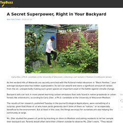 A Secret Superpower, Right in Your Backyard