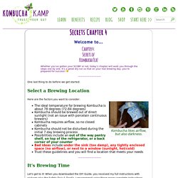 Secrets Chapter 4 - Kombucha Kamp
