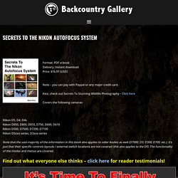 Secrets To The Nikon Autofocus System
