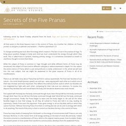 Secrets of the Five Pranas