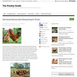 Well-Stored Secrets about Raising Organic Poultry