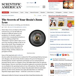 The Secrets of Your Brain's Zoom Lens