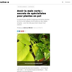 Avoir la main verte : secrets de spécialistes pour plantes en pot