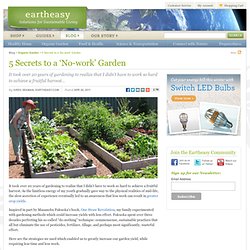 5 Secrets to a ‘No-work' Garden