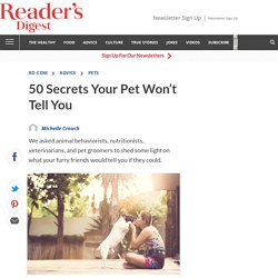 50 Secrets Your Pet Won’t Tell You