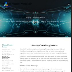 Security Consulting Services, Security Consulting, New York, NY, CT, NJ, NYC