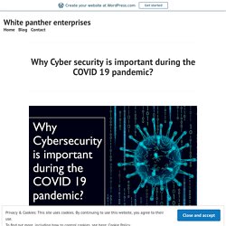 Why Cyber security is important during the COVID 19 pandemic? – White panther enterprises