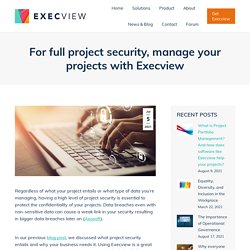For full project security, manage your projects with Execview - Execview