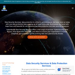 Data Security Services, Critical Data Protection, CSO Security Consulting Services