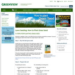 Lawn Seeding: How to Plant Grass Seed - Greenview