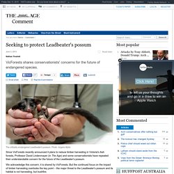 Seeking to protect Leadbeater's possum