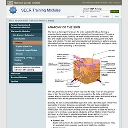SEER Training: Anatomy of the Skin