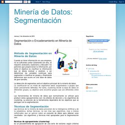 Minería de Datos: Segmentación: Segmentación o Encadenamiento en Minería de Datos
