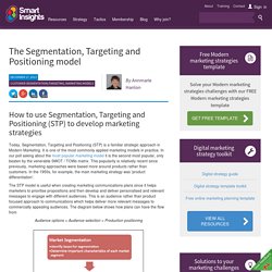 3.3.3 The Segmentation, Targeting and Positioning model
