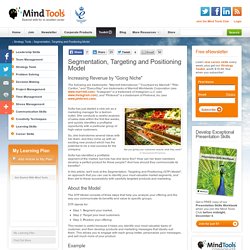 Segmentation, Targeting and Positioning Model - MindTools.com